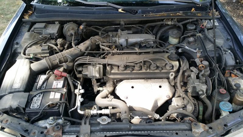 Illustration for article titled Here's How To Clean Your Dirty-Ass Engine Bay Without Screwing It Up